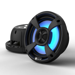 S212 | Dual 12
